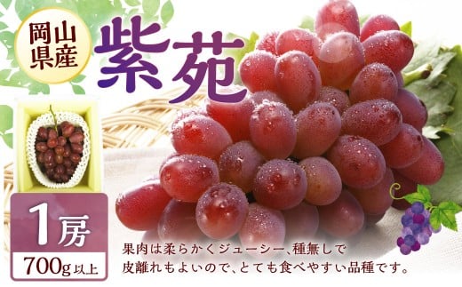 ~ Ԃǂ 2026N s\  1[ 700gȏ y2026N10{`11{ \z R R  Ԃǂ ʕ t[c   蕨 Mtg YR璬16000ʕE