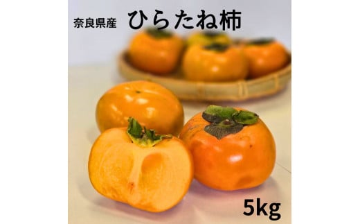 Ђ炽ˊ` Ȃ` 햳` ˊ` ` ޗǌYTkg JL MtgޗǌO12000ʕEt[c̑ ʕEt[c