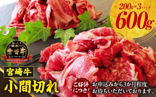 {苍 ܐ؂600g ӂ邳Ɣ[     ғ Ԑ؂ Y a uh  蕨 Mtg O  uߕ  AW  u  ig BBQ
