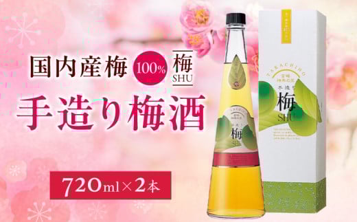 手造り梅酒 14% 720ml×2本セット | 梅酒 酒 アルコール 梅酒セット セット 詰め合わせ ロック ストレート 贈答 贈答用 ギフト プレゼント お祝い 祝い 内祝い 記念日 誕生日 お取り寄せ グルメ