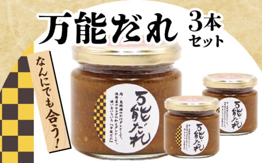万能だれ3本セット | 白長ねぎ 調味料 調味 薬味 万能調味料 ごはんのお供 おつまみ つまみ おかず お弁当 高千穂町産 国産 特産 特産品 加工品 加工食品 グルメ 贈答 贈り物 ギフト プレゼン