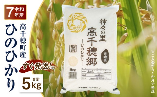 【令和7年産 新米】JA高千穂地区 ひのひかり5kg | 高千穂産 ひのひかり  5kg 1袋 米 お米 白米 ごはん 白飯 精米 ひのひかり 国産 宮崎県産  単一原料米 農作物 農産物 おすそ分け 普段使い 日常