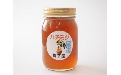 No.009 厚木産のハチミツ(百花蜜)600g / 蜂蜜 はちみつ ハニー 神奈川県神奈川県厚木市6000鍋セット・総菜・加工食品ジャム・はちみつ