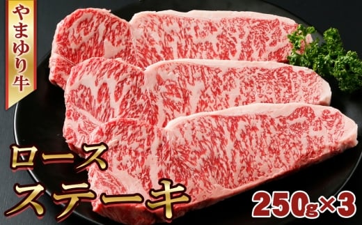 No.1073 やまゆり牛 ロース ステーキ 250g×3枚 / 肉 牛肉 牛 国産 ブランド牛 かながわブランド 旨味 風味 柔らかい 神奈川県神奈川県厚木市30000肉牛肉