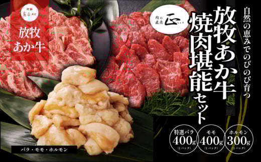 阿蘇うぶやま村の放牧あか牛焼肉堪能セット《60日以内に出荷予定(土日祝除く)》熊本県産山村30000肉牛肉