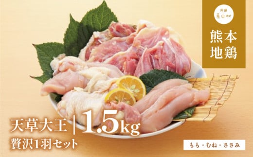 【ふるさと納税】天草大王 贅沢1羽 セット 計1.5kg 【配送不可地域:離島】あそ大王ファーム株式会社 《60日以内に出荷予定(土日祝除く)》熊本 産山 鶏 鶏肉 もも むね ささみ熊本県産山村170