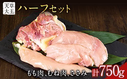 yӂ邳Ɣ[ŁzV剤 EނˁE݃Zbg 750g yzsnFz 剤t@[Ёs60ȓɏoח\(yj)tF{ YR { { ZbgF{YR10500