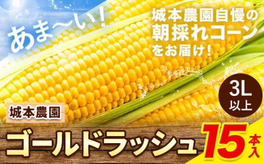 《先行受付開始》産地直送 とうもろこし 朝採れ スイートコーン ゴールドラッシュ 15本セット 特大 熊本 阿蘇 産山村トウモロコシ ギフト 今が旬 コーン 旬 お取り寄せ 人気 大人気 贈答《20