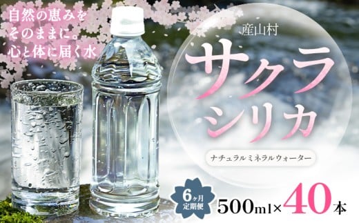 【6ヶ月定期便】サクラシリカ 500ml × 40本 みずの里《30日以内に出荷予定(土日祝除く)》熊本県 阿蘇郡 産山村 ミネラルウォーター シリカ 水 天然水 鉱水 ラベルレス ラベルなし熊本県産山村