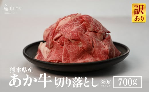 y󂠂zF{Y@؂藎Ƃ700s60ȓɏoח\iyjjtF{YR10500