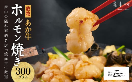 産山の隠れ家的名店「焼肉正」厳選「放牧あか牛 ホルモン焼き」セット《60日以内に出荷予定(土日祝除く)》熊本県産山村21500肉牛肉