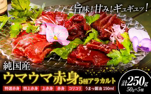 馬刺し 純国産 ウマウマ 赤身 5種 アラカルト 専用醤油付き 50g ×5種 計250g 有限会社九州食肉産業《30日以内に出荷予定(土日祝除く)》熊本県 産山村 純国産 馬刺し 国産 赤身 熊本肥育 馬刺 馬