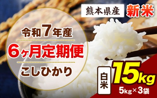 【6ヶ月定期便】令和7年産 定期便 こしひかり 15kg 新米 白米 阿蘇 うぶやま 米 定期便 熊本県産 ふるさと納税 精米 ひの 米 こめ ふるさとのうぜい コシヒカリ コメ お米 おこめ《11月から出