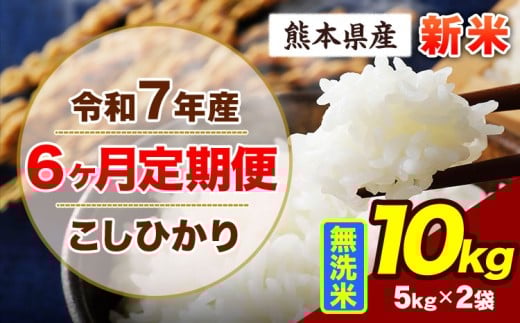 【6ヶ月定期便】令和7年産 定期便 こしひかり 10kg 新米 無洗米 阿蘇 うぶやま 米 定期便 熊本県産 ふるさと納税 精米 ひの 米 こめ ふるさとのうぜい コシヒカリ コメ お米 おこめ《11月から