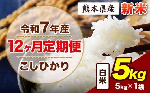 【12ヶ月定期便】令和7年産 定期便 こしひかり 5kg 新米 白米 阿蘇 うぶやま 米 定期便 熊本県産 ふるさと納税 精米 ひの 米 こめ ふるさとのうぜい コシヒカリ コメ お米 おこめ《11月から出