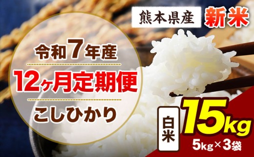 【12ヶ月定期便】令和7年産 定期便 こしひかり 15kg 新米 白米 阿蘇 うぶやま 米 定期便 熊本県産 ふるさと納税 精米 ひの 米 こめ ふるさとのうぜい コシヒカリ コメ お米 おこめ《11月から出