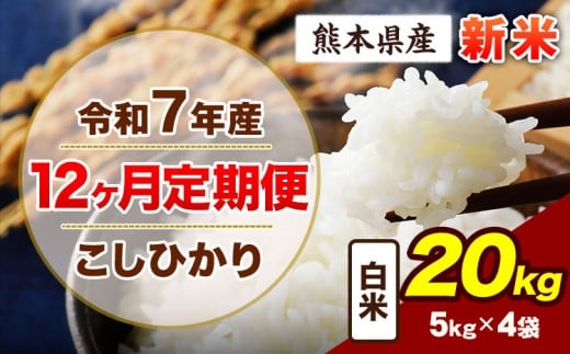 【12ヶ月定期便】令和7年産 定期便 こしひかり 20kg 新米 白米 阿蘇 うぶやま 米 定期便 熊本県産 ふるさと納税 精米 ひの 米 こめ ふるさとのうぜい コシヒカリ コメ お米 おこめ《11月から出
