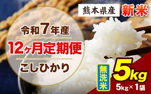 【12ヶ月定期便】令和7年産 定期便 こしひかり 5kg 新米 無洗米 阿蘇 うぶやま 米 定期便 熊本県産 ふるさと納税 精米 ひの 米 こめ ふるさとのうぜい コシヒカリ コメ お米 おこめ《11月から