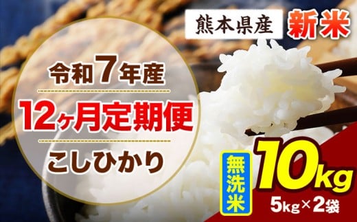 【12ヶ月定期便】令和7年産 定期便 こしひかり 10kg 新米 無洗米 阿蘇 うぶやま 米 定期便 熊本県産 ふるさと納税 精米 ひの 米 こめ ふるさとのうぜい コシヒカリ コメ お米 おこめ《11月から