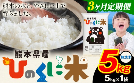 【3ヶ月定期便】 無洗米 ひのくに米 5kg 《11月から出荷開始》 食品 米 こめ コメ 熊本県産 ふるさと納税 お米 おこめ 熊本熊本県産山村34500米・パン無洗米