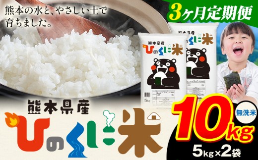 【3ヶ月定期便】 無洗米 ひのくに米 10kg 《11月から出荷開始》 食品 米 こめ コメ 熊本県産 ふるさと納税 お米 おこめ 熊本熊本県産山村67500米・パン無洗米
