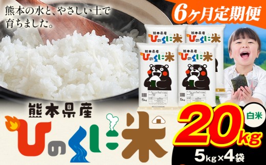 y6ցz  Ђ̂ɕ 20kg s11o׊Jnt Hi   R F{Y ӂ邳Ɣ[   F{F{YR267000āEp