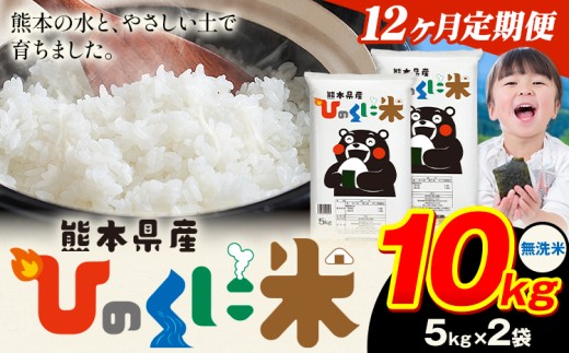 【12ヶ月定期便】 無洗米 ひのくに米 10kg 《11月から出荷開始》 食品 米 こめ コメ 熊本県産 ふるさと納税 お米 おこめ 熊本熊本県産山村270000米・パン無洗米