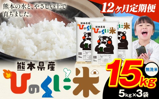 【12ヶ月定期便】 無洗米 ひのくに米 15kg 《11月から出荷開始》 食品 米 こめ コメ 熊本県産 ふるさと納税 お米 おこめ 熊本熊本県産山村402000米・パン無洗米