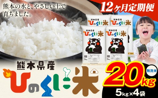 【12ヶ月定期便】 無洗米 ひのくに米 20kg 《11月から出荷開始》 食品 米 こめ コメ 熊本県産 ふるさと納税 お米 おこめ 熊本熊本県産山村534000米・パン無洗米