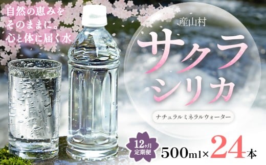 【12ヶ月定期便】サクラシリカ 500ml × 24本 みずの里《30日以内に出荷予定(土日祝除く)》熊本県 阿蘇郡 産山村 ミネラルウォーター シリカ 水 天然水 鉱水 ラベルレス ラベルなし熊本県産山