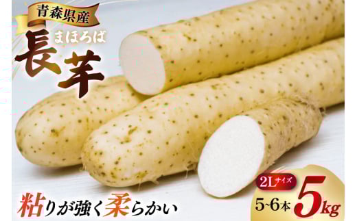  ܂قΒ 2L TCY 5`6{  5kg [ X 点 oi02ayo620005] Ȃ  5L ƂX点23000؁Ê卪EjWEؗ