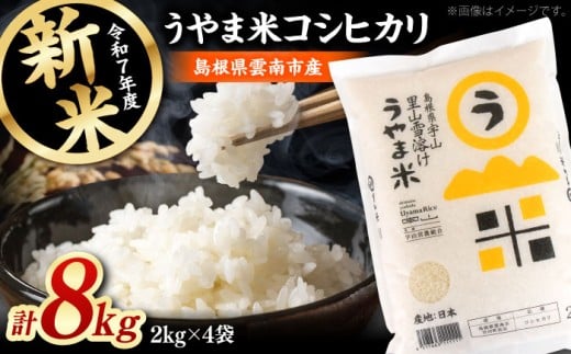 y2025NYVāzuܕāvRVqJ 8kgi2kg×4j_s/LГ{čX [AIDB018] Vē_s31000āEp