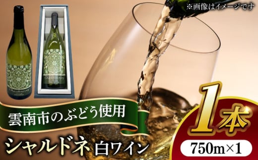 ڂ̓_C@Vhl | C Vhl _  _ _s/Љ@l@畟 [AIBU002]_s11000EAR[C