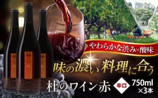 奥出雲葡萄園 杜のワイン赤 3本セット ワイン お酒 ギフト 国産 熟成ワイン 熟成 酒 赤 赤ワイン 辛口 果実酒 お祝 贈答用 アルコール フルボトル 飲料 島根県雲南市/有限会社奥出雲葡萄園 [A