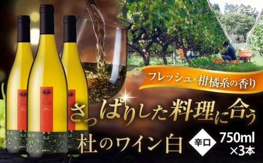 o_ m̃C@3{Zbg   Y C Zbg _s/LЉo_ [AICS052]_s23000EAR[C