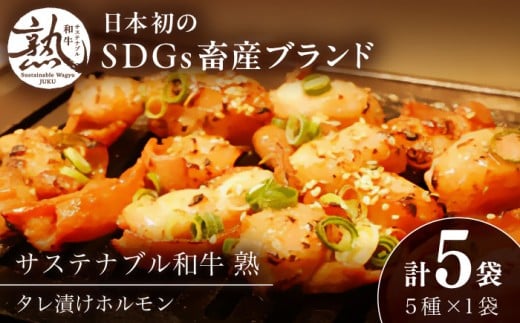 サステナブル和牛 熟 ホルモン タレ漬けシリーズ5P(もつ・レバー・ハツ・センマイ・ミックス)| 牛肉 和牛 黒毛和牛 熟成 タレ漬け セット 冷凍 小分け バーベキュー 国産 島根県雲南市/株