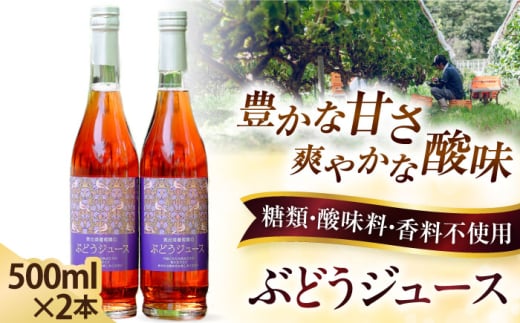 奥出雲葡萄園 ぶどうジュース2本セット ぶどうジュース ぶどう ブドウ 葡萄 セット ストレートジュース 国産 果汁 果物 産地直送 飲料 くだもの フルーツ ストレート ジュース 贈答 奥出雲