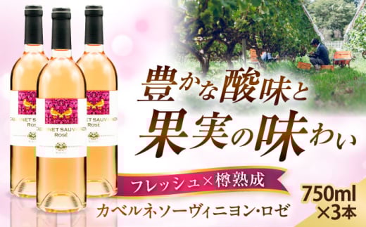 奥出雲葡萄園 カベルネソーヴィニヨン・ロゼ 3本セット お酒 国産 ロゼ ロゼワイン 熟成ワイン 熟成 酒 ギフト 果実酒 お祝 贈答用 アルコール パーティー フルボトル 島根県雲南市/有限会