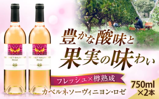 奥出雲葡萄園 カベルネソーヴィニヨン・ロゼ 2本セット お酒 国産 ロゼ ロゼワイン 熟成ワイン 熟成 酒 ギフト 果実酒 お祝 贈答用 アルコール パーティー フルボトル 島根県雲南市/有限会
