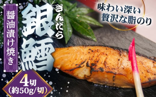 L̏ݖЂĂ 4؂ | L ݖ ЂĂ y }Ⓚ _s/ЗR [AIBA005]_s13000ZbgE؁EHHi