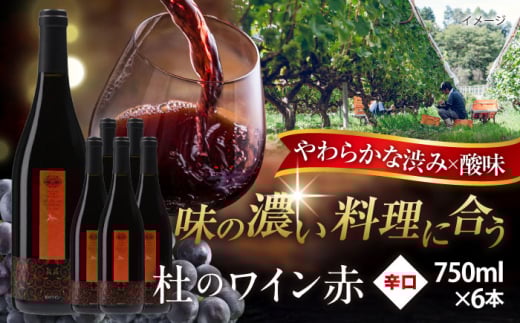 奥出雲葡萄園 杜のワイン赤 6本セット ワイン お酒 ギフト 国産 熟成ワイン 熟成 酒 赤 赤ワイン 辛口 果実酒 お祝 贈答用 アルコール フルボトル 飲料 島根県雲南市/有限会社奥出雲葡萄園 [A