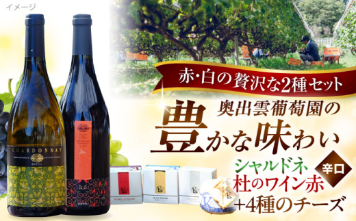 奥出雲葡萄園 白/赤ワイン・木次乳業チーズセット(シャルドネ・杜のワイン赤) ワイン お酒 チーズ 国産 セット 熟成ワイン 熟成 酒 ギフト 赤ワイン 白 白ワイン 辛口 果実酒 島根県雲南