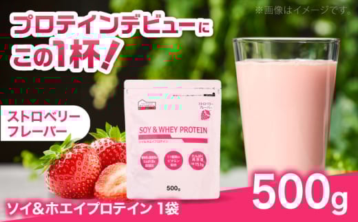 \CzGCveC Xgx[ 500g×1 veC _CGbg N NHi \CveC zGCveC ؃g e  TCY 炵ɃxN 500g u 