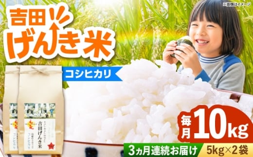 �āy�S3�����ցz�y�V�āz�g�c���񂫕ăR�V�q�J�� 10kg�i5kg×2�܁j�b�����Ђ��� ���� ���񂫕� ���� ������ �͂��܂� ���� ���� �R�� 10�L�� ���͂� ���� ���ɂ��� ���ٓ� �����͂� �֗� ���H