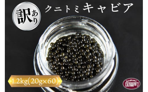 【訳あり】<クニトミキャビア 1.2kgセット(20g×60)>【 魚卵 高級 魚 魚介 卵 贅沢 クラッカー 珍味 パーティー 記念日 誕生日 お祝い 国産 チョウザメ フレンチ わけあり ワケアリ 訳アリ 家