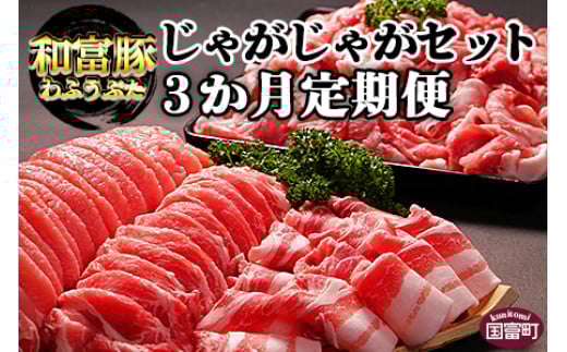 <3か月定期便 和富豚 じゃがじゃがセット 1.7kg>翌月末迄に第一回目発送宮崎県国富町48000肉豚肉