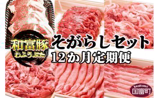 <12か月定期便 和富豚 そがらしセット 2.9kg>翌月末迄に第一回目発送宮崎県国富町256000肉豚肉