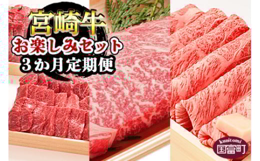 <3か月定期便 宮崎牛お楽しみセット>翌月末迄に第一回目発送宮崎県国富町66000肉牛肉