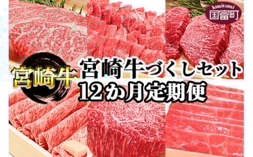 <12か月定期便 宮崎牛づくしセット>翌月末迄に第一回目発送宮崎県国富町263000肉牛肉