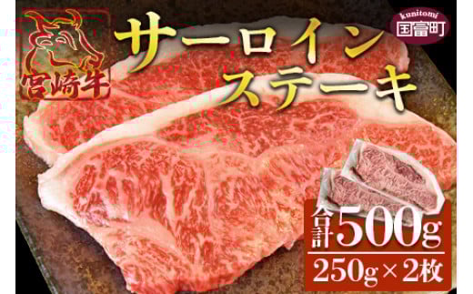 <宮崎牛 サーロインステーキ 250g×2枚>翌月末迄に順次出荷宮崎県国富町29000肉牛肉